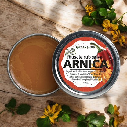 OrganHerb Organic Arnica and Capsicum Muscle Rub Salve 4 oz – Natural Relief for Muscles and Joints